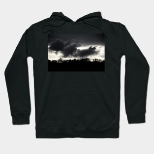 Black Forest & Clouds / Swiss Artwork Photography Hoodie